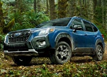 Subaru Forester 5 Wilderness Subaru Forester 5 Wilderness