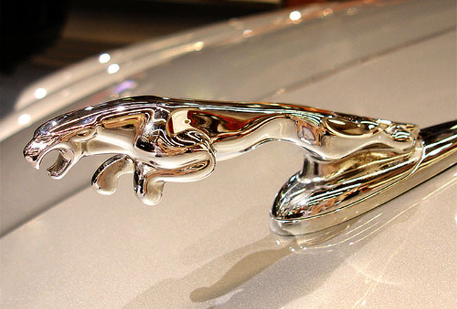 Jaguar перевод на русский