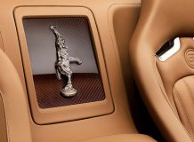 Фото салона Bugatti Veyron Rembrandt