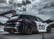Фото гоночного Peugeot 308 Racing Cup