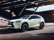 Lexus NX Sport фото