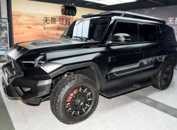 Dongfeng Mengshi 917
