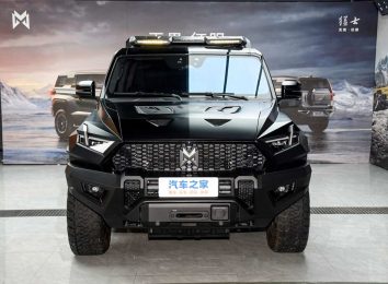 Dongfeng Mengshi 917