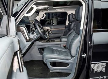 Dongfeng Mengshi 917