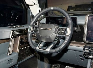 Dongfeng Mengshi 917