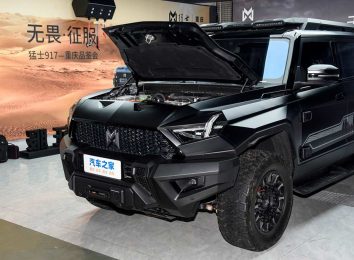 Dongfeng Mengshi 917