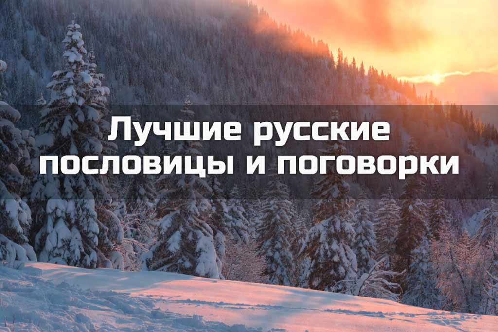 Подборка топ-100 лучших пословиц и поговорок
